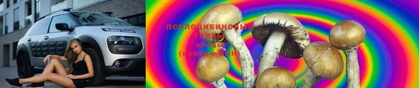 MDMA Premium VHQ Богородицк